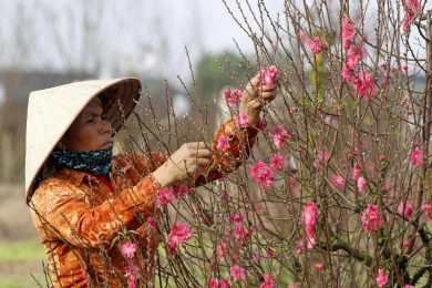 Le foto del giorno, 30.1.2013