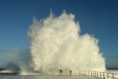 Le foto del giorno, 29.1.2013
