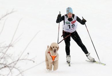 Le più belle foto di sport della settimana – 22/28 gennaio