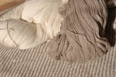 Nuove imprese, dall’allevamento di alpaca alle capre da Cashmere