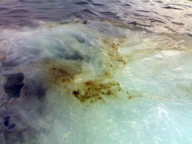 Plastica, piombo e mercurio: 3 libri per difenderci dai rifiuti tossici