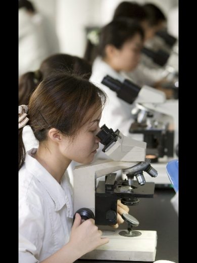 Disoccupazione: negli Usa quella femminile è da record