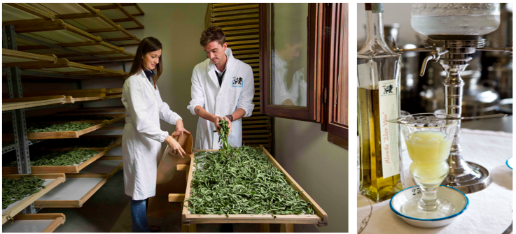 Lavoro, come diventare un alchimista moderno