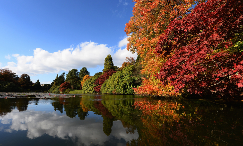 Nuova storia della filosofia occidentale di Anthony Kenny: un uomo solo al comando Nuova storia della filosofia occidentale di Anthony Kenny: un uomo solo al comando
