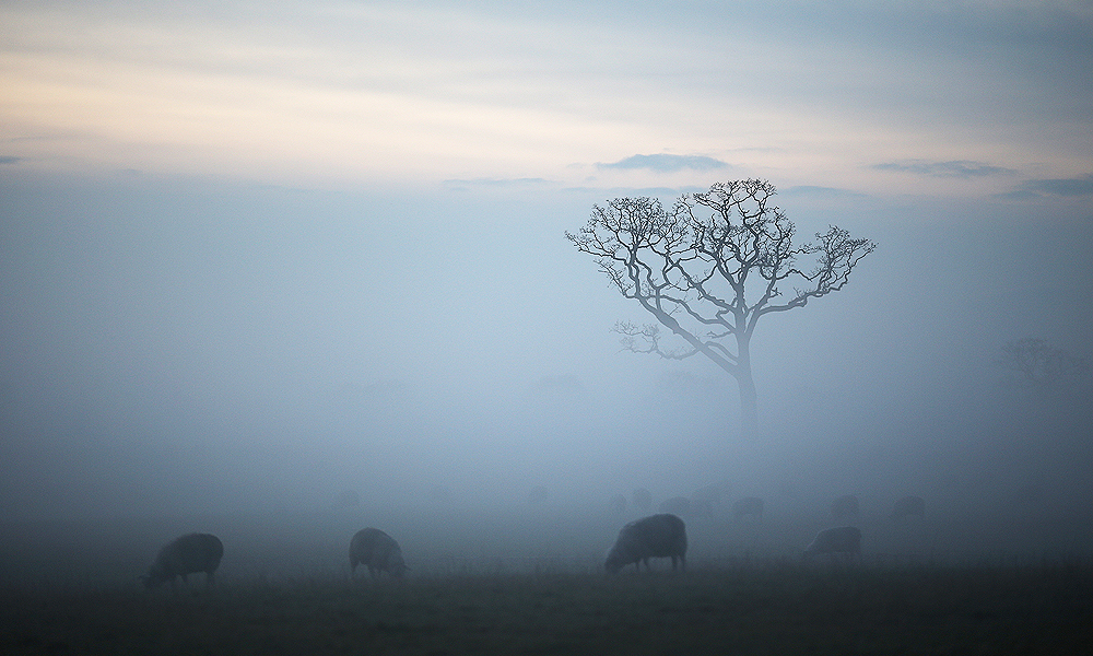 Jane Austen, Orgoglio e pregiudizio: dieci motivi per (ri)leggerlo Jane Austen, Orgoglio e pregiudizio: dieci motivi per (ri)leggerlo
