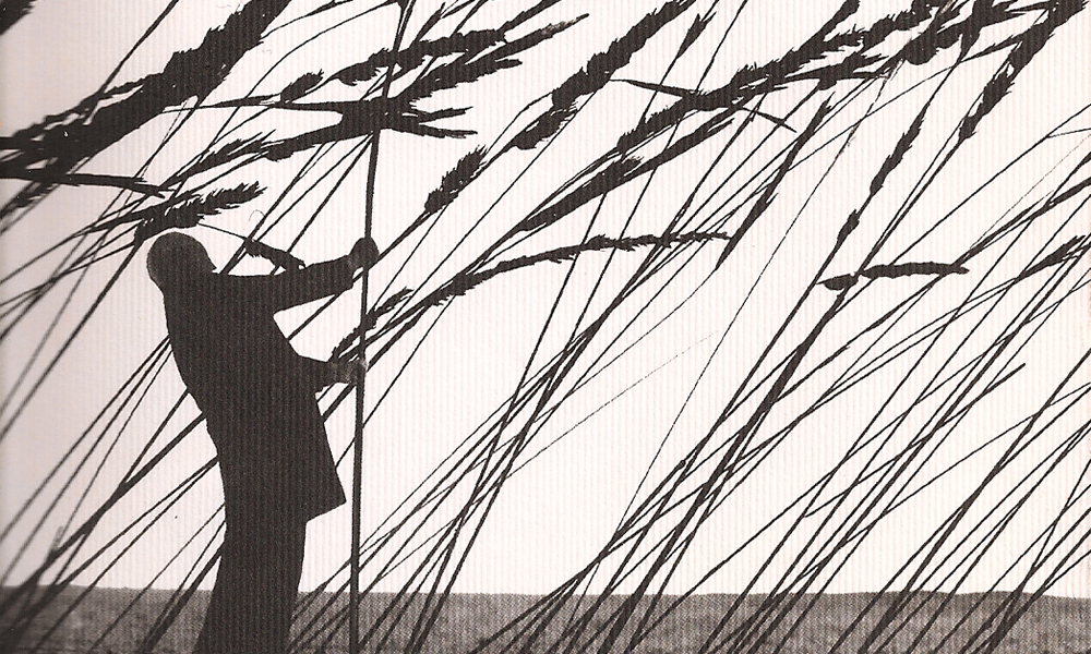 Marco Presta, ‘Il piantagrane’ Marco Presta, ‘Il piantagrane’