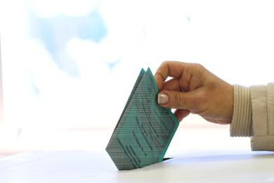 Elezioni 2013 – tutto quello che bisogna sapere