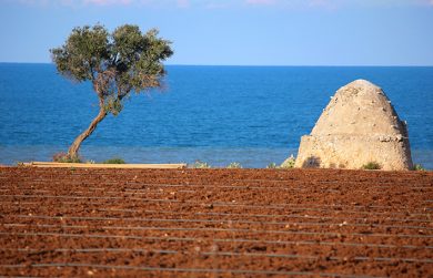 La Puglia nelle foto di Carlos Solito