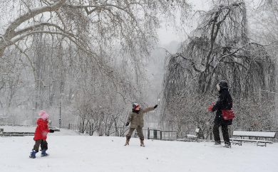 La diretta neve su twitter