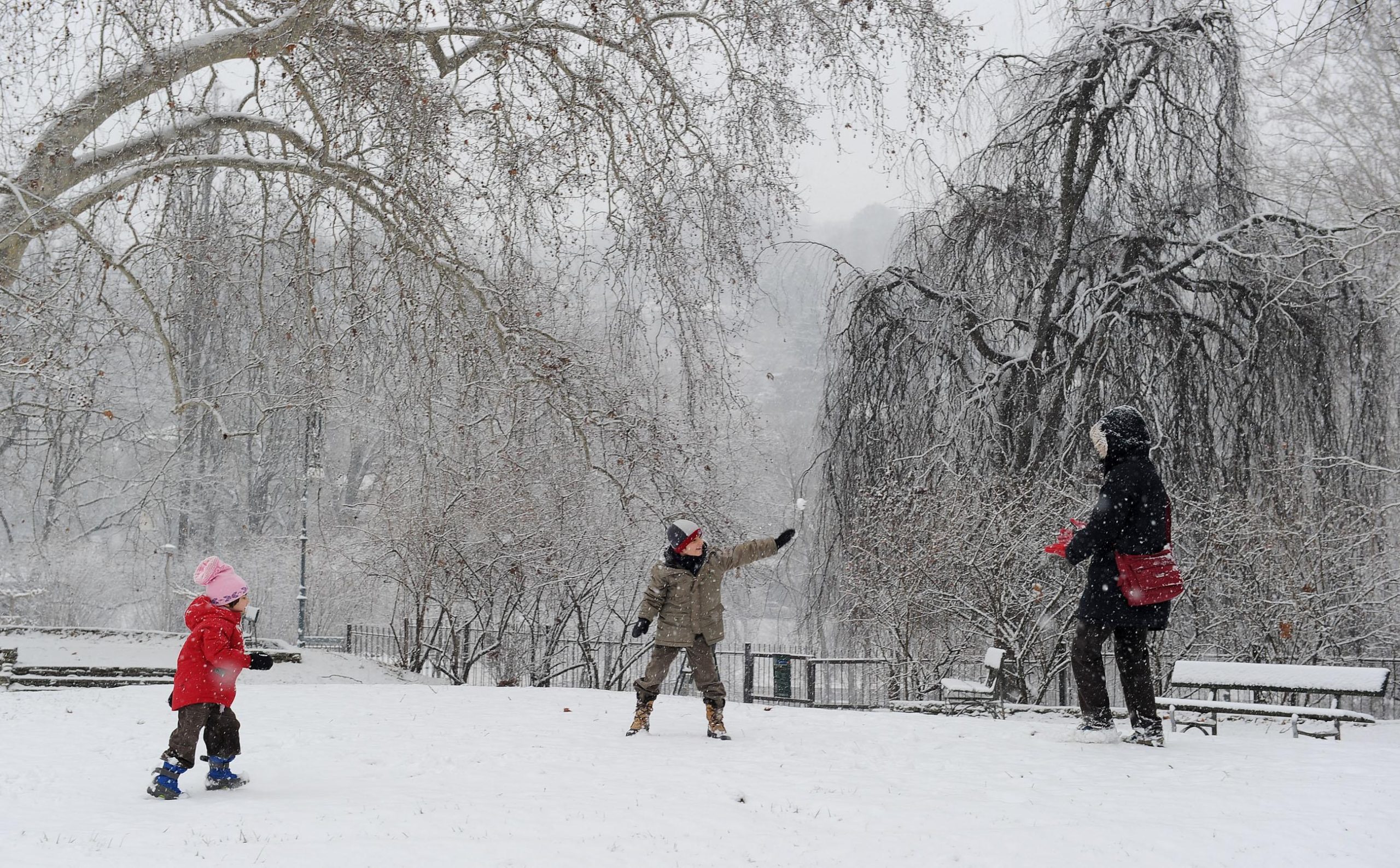 La diretta neve su twitter La diretta neve su twitter