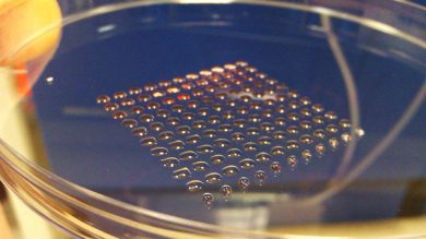 Con le stampanti 3D costruiremo anche organi umani
