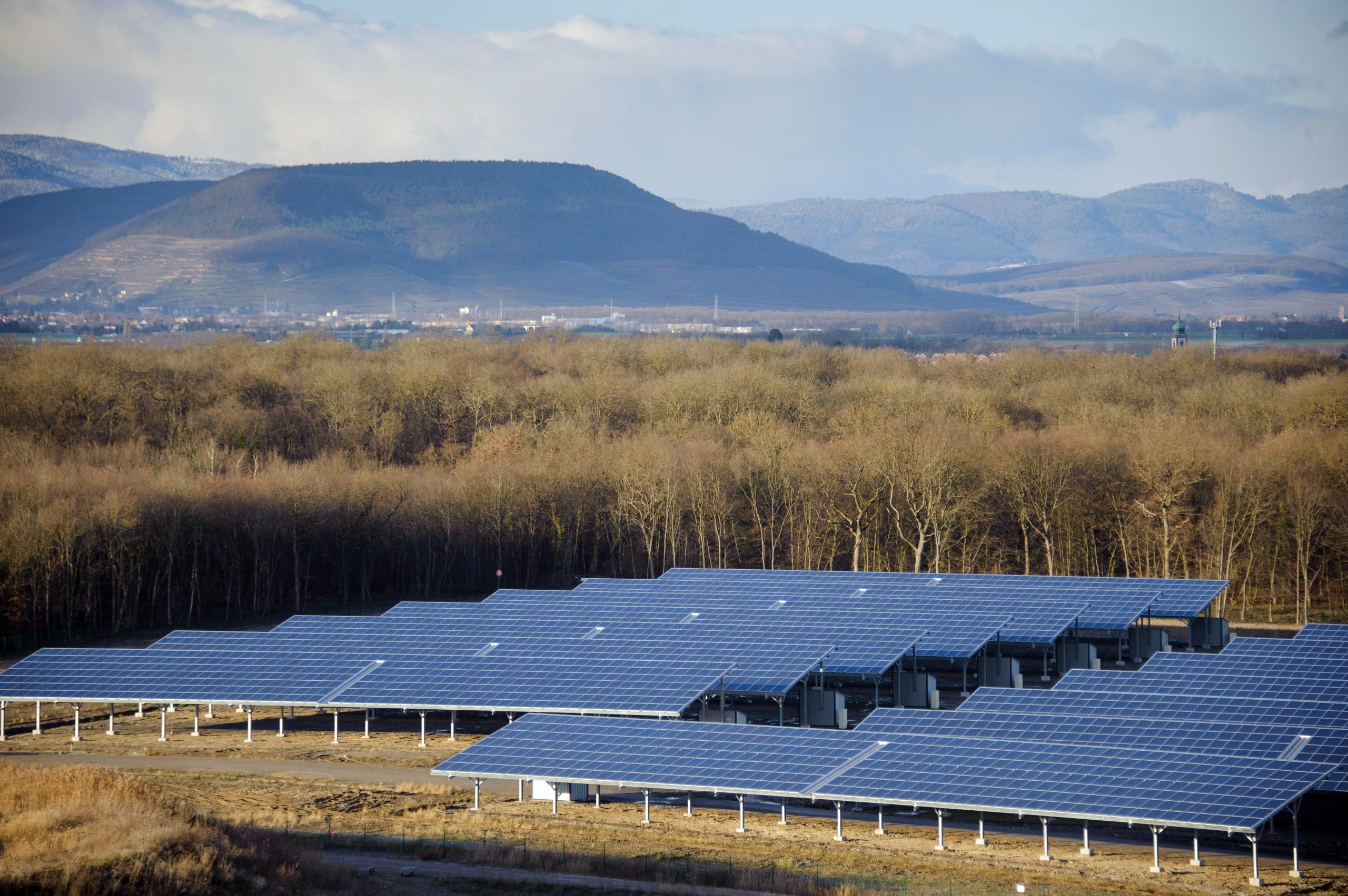 Green Economy, il tirocinio si fa all’estero Green Economy, il tirocinio si fa all’estero