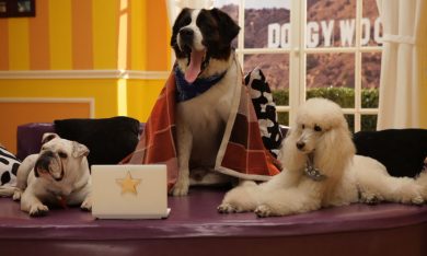 DoggyWood, sitcom a quattro zampe – Video del backstage