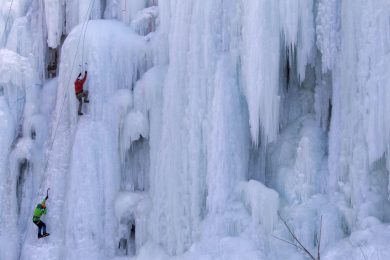 Le foto del giorno, 1.2.2013
