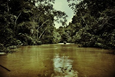 «Tutto è andato liscio, anche l’orrore». Ospite (nel cuore della tenebra): Francesco De Gregori