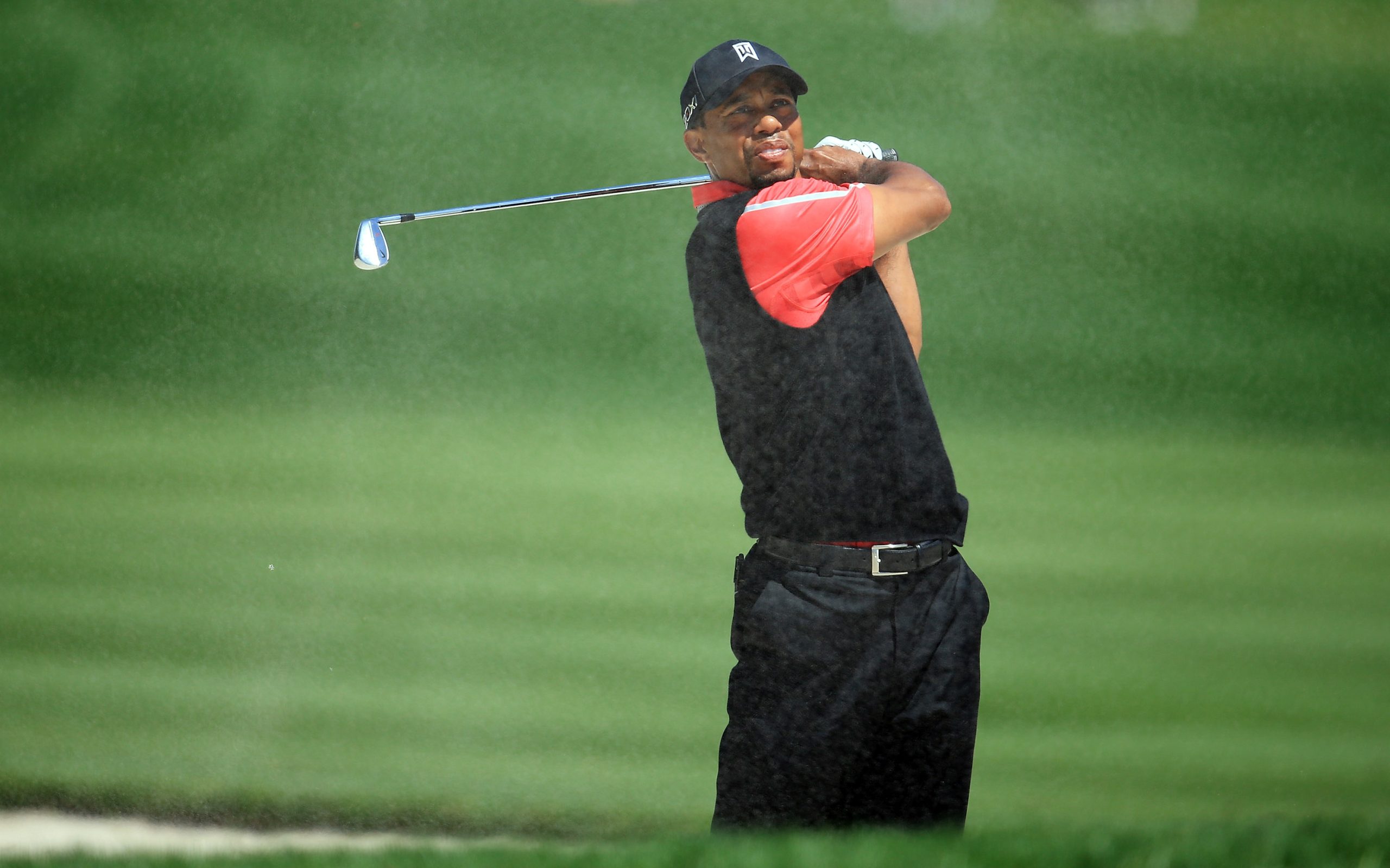 Tiger e gli altri: storie di ritorni e grandi flop