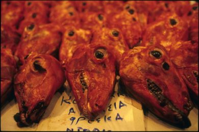 Carne proibita: adesso tocca alla pecora