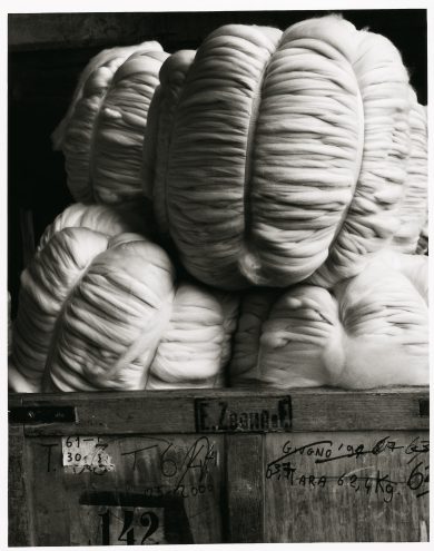 Ermenegildo Zegna: questa lana vale 2 miliardi