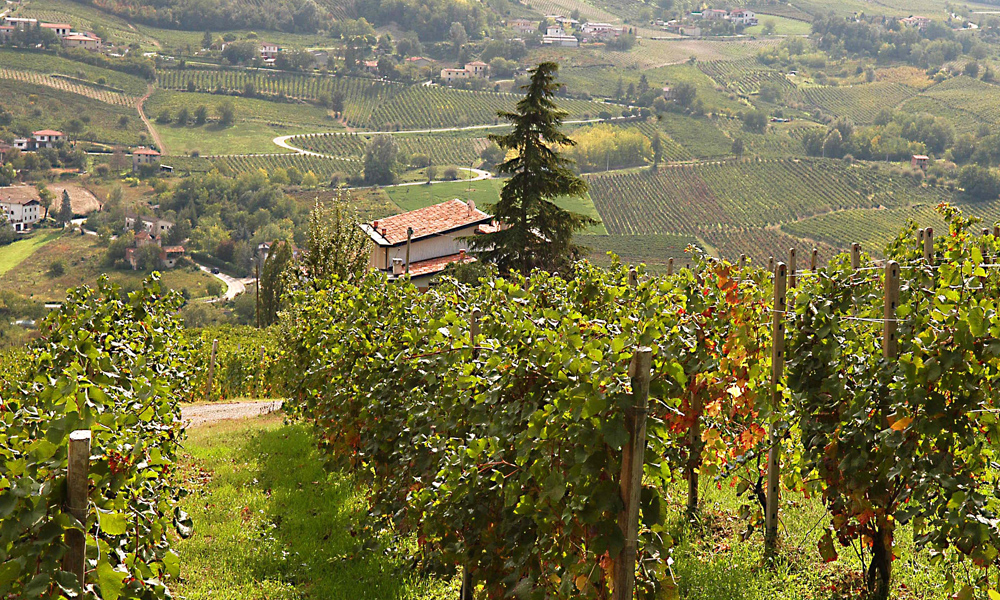 Il prosecco in fondo sa anche emozionare