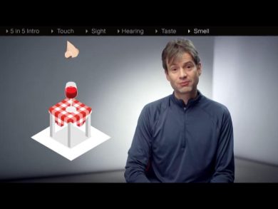 L’evoluzione sensoriale dei computer e i 5 sensi digitali: olfatto