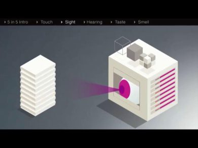 L’evoluzione sensoriale dei computer e i 5 sensi digitali: la vista