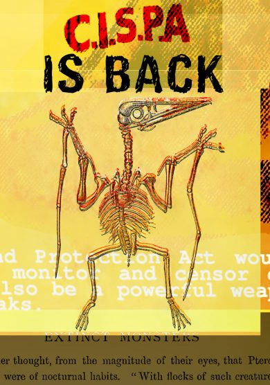 CISPA, Anonymous invoca per oggi uno sciopero di Internet