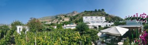 Le isole del vino
