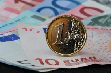 Euro, pro e contro
