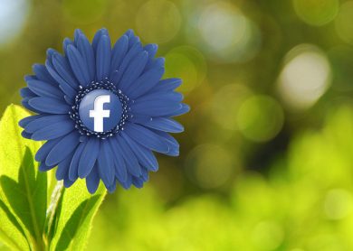 Facebook: icone e link entrano nello status