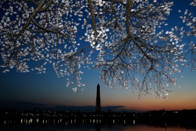 Le foto del giorno, 8.4.2013