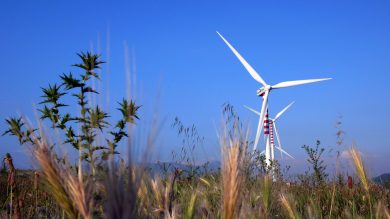 Eolico, un business da 3,8 miliardi