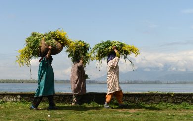 Le foto del giorno, 3.4.2013