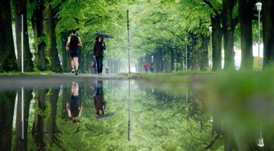 Le foto più belle della settimana – 24/30 maggio