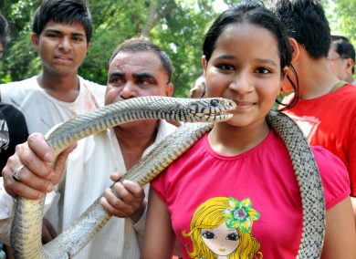 Le foto del giorno, 30.5.13