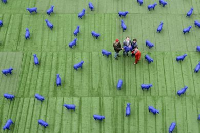 Le pecore blu per la pace e altre foto del giorno, 29.5.13