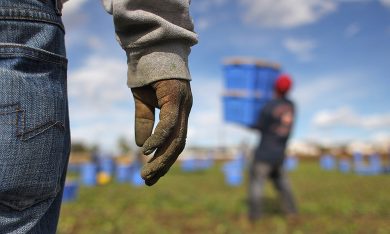 In Italia le tasse sul lavoro si mangiano metà salario