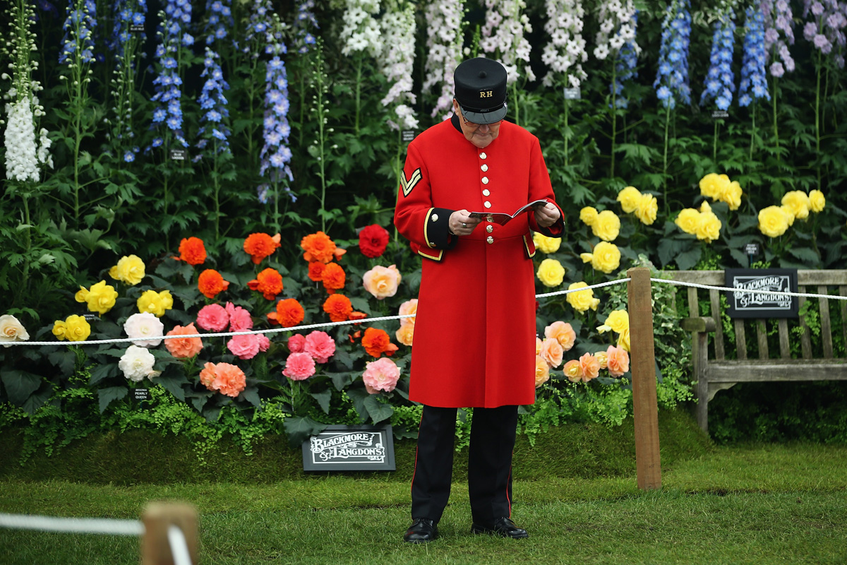 A Chelsea lo spettacolo dei fiori (n° 100) A Chelsea lo spettacolo dei fiori (n° 100)