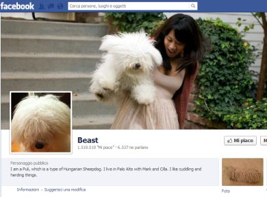 Facebook: più di 100 milioni di utenti non sono umani