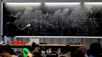 Italian universities fighting youth unemployment