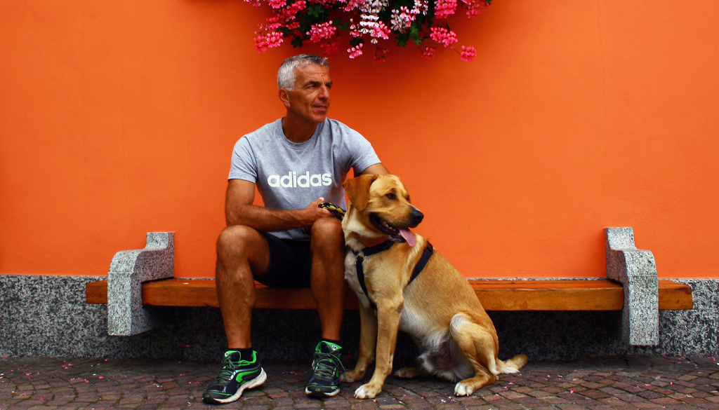 Padrone? Quale padrone? Padrone? Quale padrone?