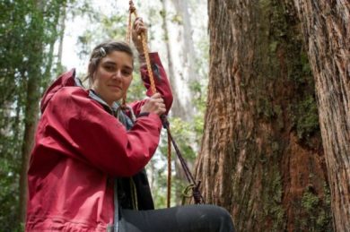 Miranda, come Tarzan, vive su una pianta e salva la Tasmania