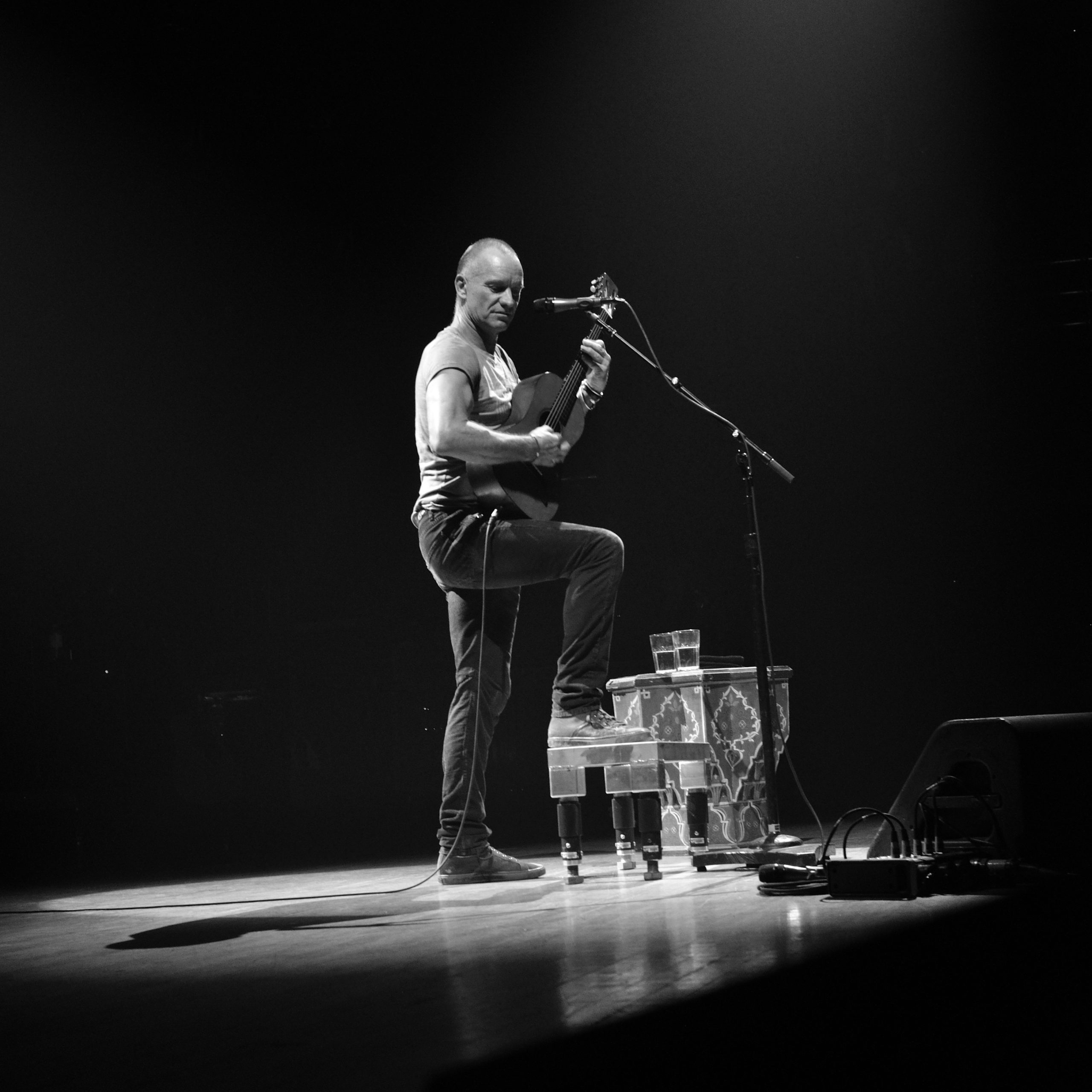 Sting: tutta la carriera in un concerto-evento Sting: tutta la carriera in un concerto-evento