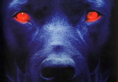 I 10 libri più comprati dagli italiani nell’ultima settimana (20/6/13)