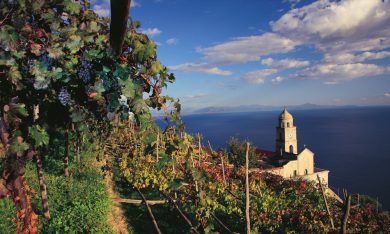 Profumi delicati per vini estremi