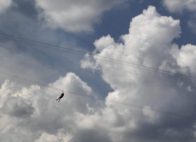 Le foto del giorno, 11.6.13