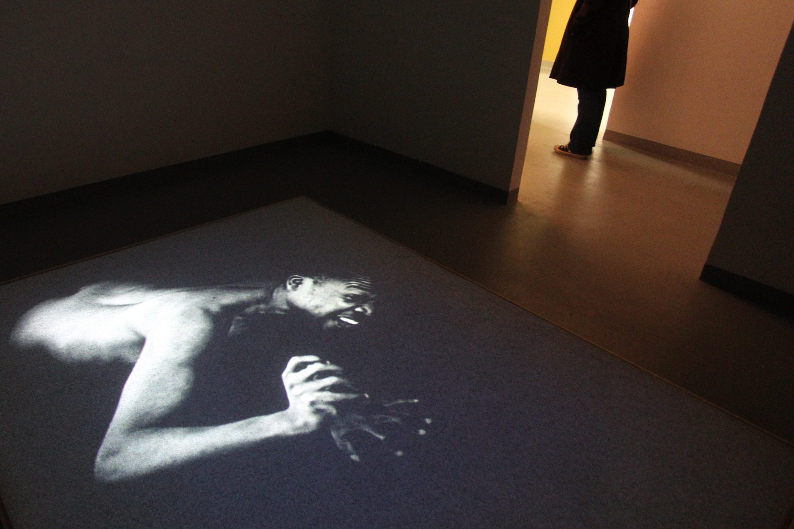 The Summer Show 2013, master sull’immagine contemporanea The Summer Show 2013, master sull’immagine contemporanea