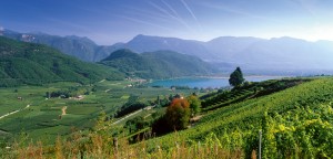 Schiava in tavola