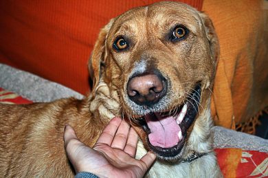 Mordo, è vero. Ma piano