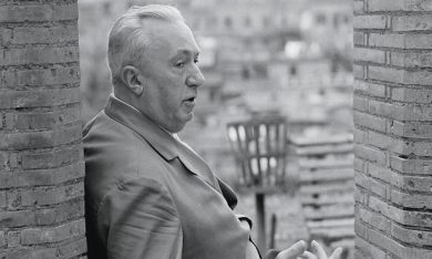 Feticci letterari? Qui Gadda ci cova