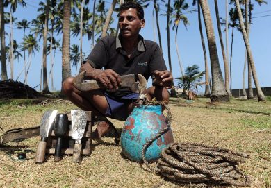 India, tutti pazzi per il vino di palma